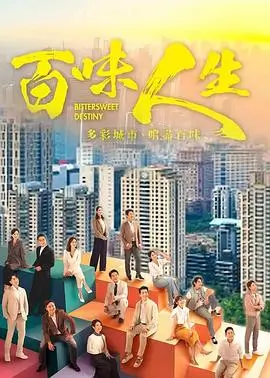 雾港回声 樱花影视日剧海报